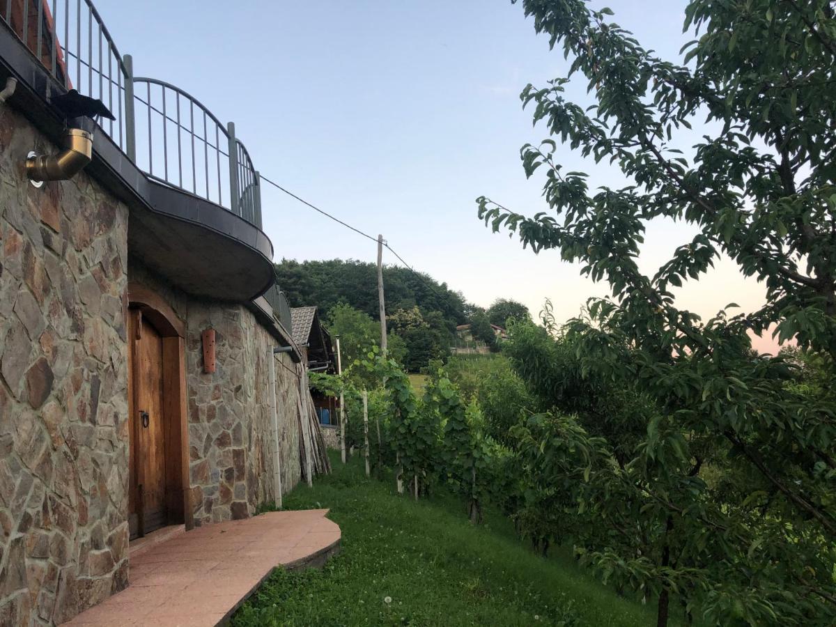 Vineyard Cottage Janko & Metka Otočec Buitenkant foto